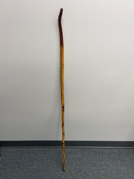 Hand-crafted Walking Stick #1