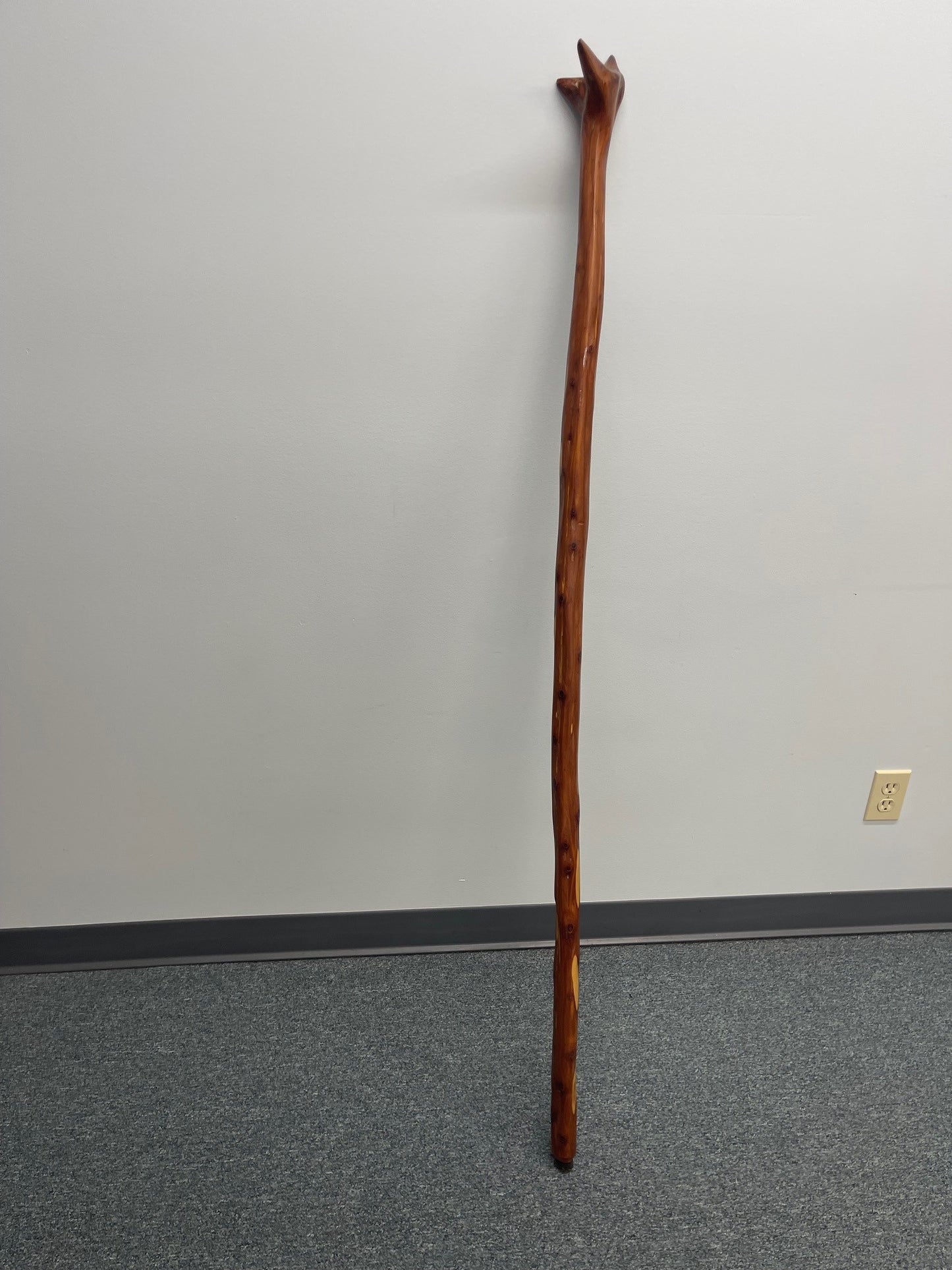 Hand-crafted Walking Stick #11
