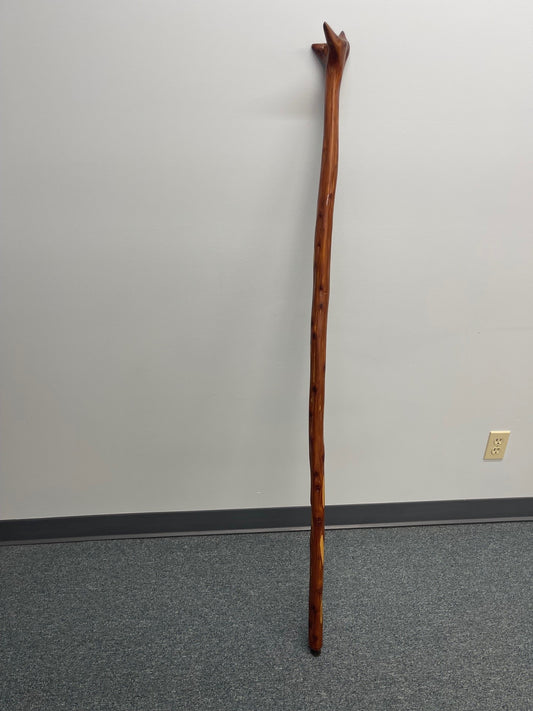 Hand-crafted Walking Stick #11