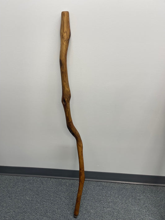 Hand-crafted Walking Stick #2