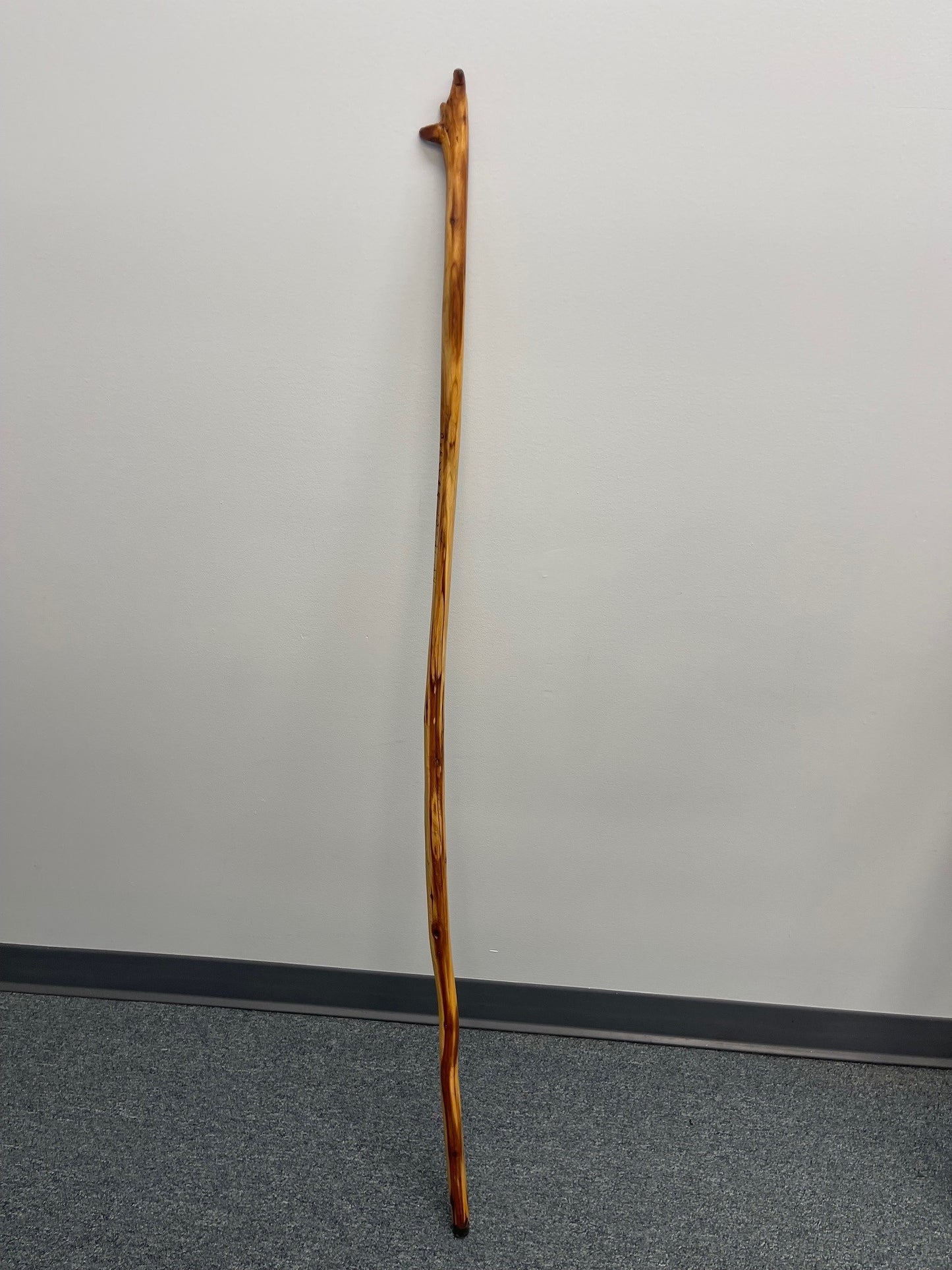 Hand-crafted Walking Stick #6