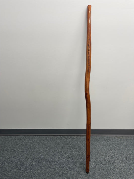 Hand-crafted Walking Stick #9